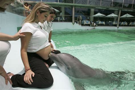 This could be especially beneficial for pregnant <b>women</b>, as the interaction with dolphins is thought to be calming and may help reduce stress levels. . Can a dolphin impregnate a woman
